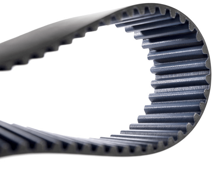 polychain belt