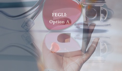 Your life insurance coverage with fegli option a