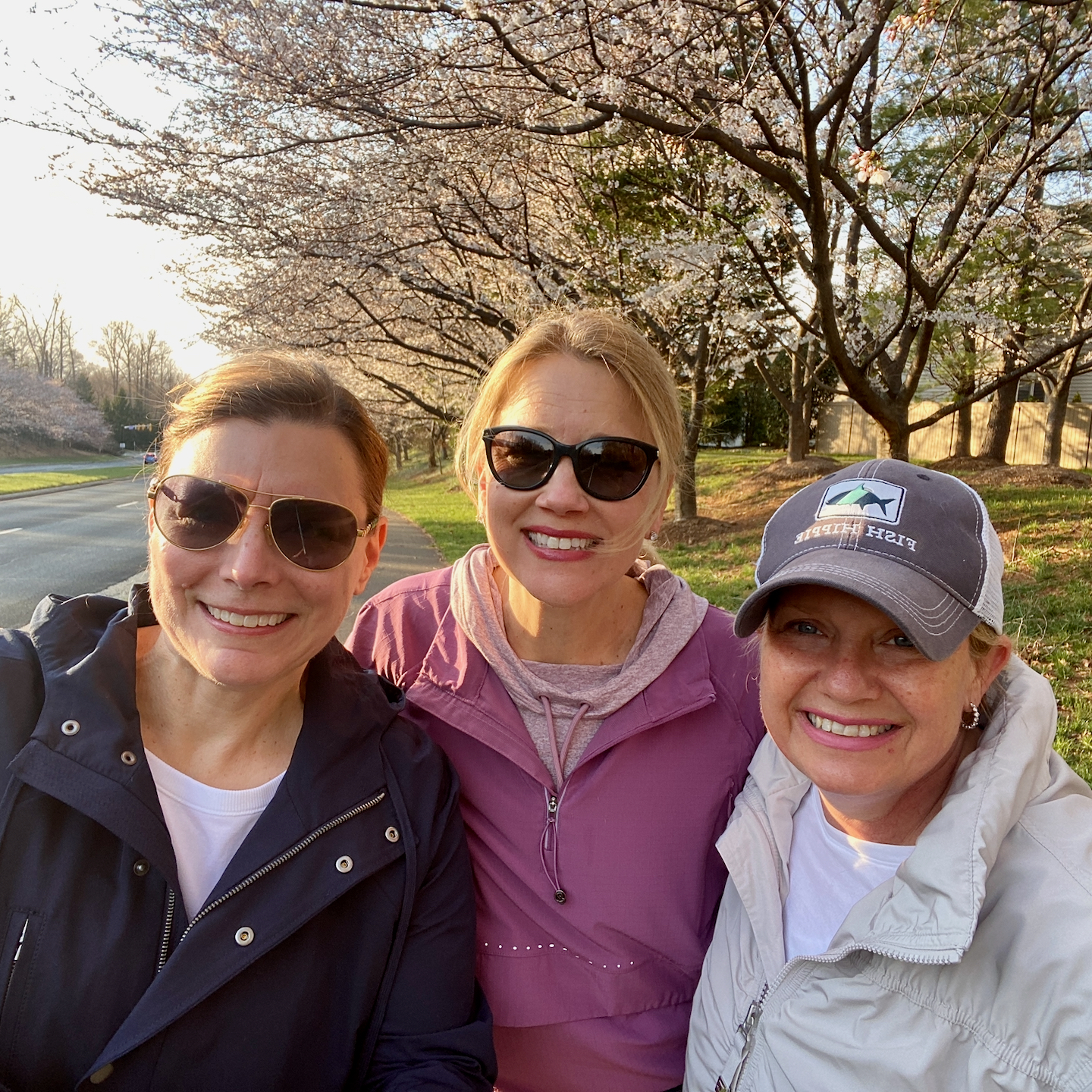walk and talk