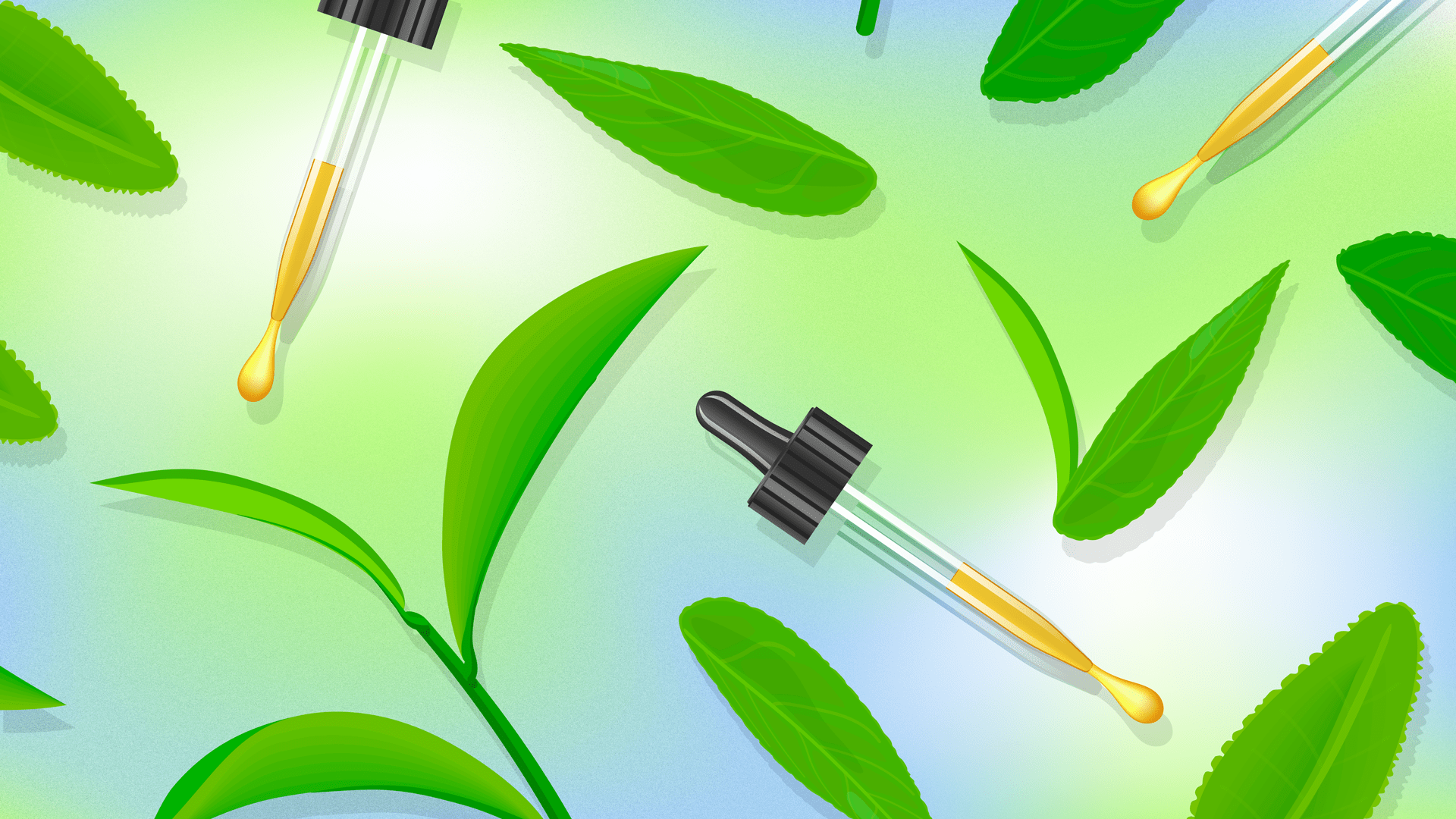 Tea Tree Oil Uses Benefits For Skin Hair Body Max My Looks