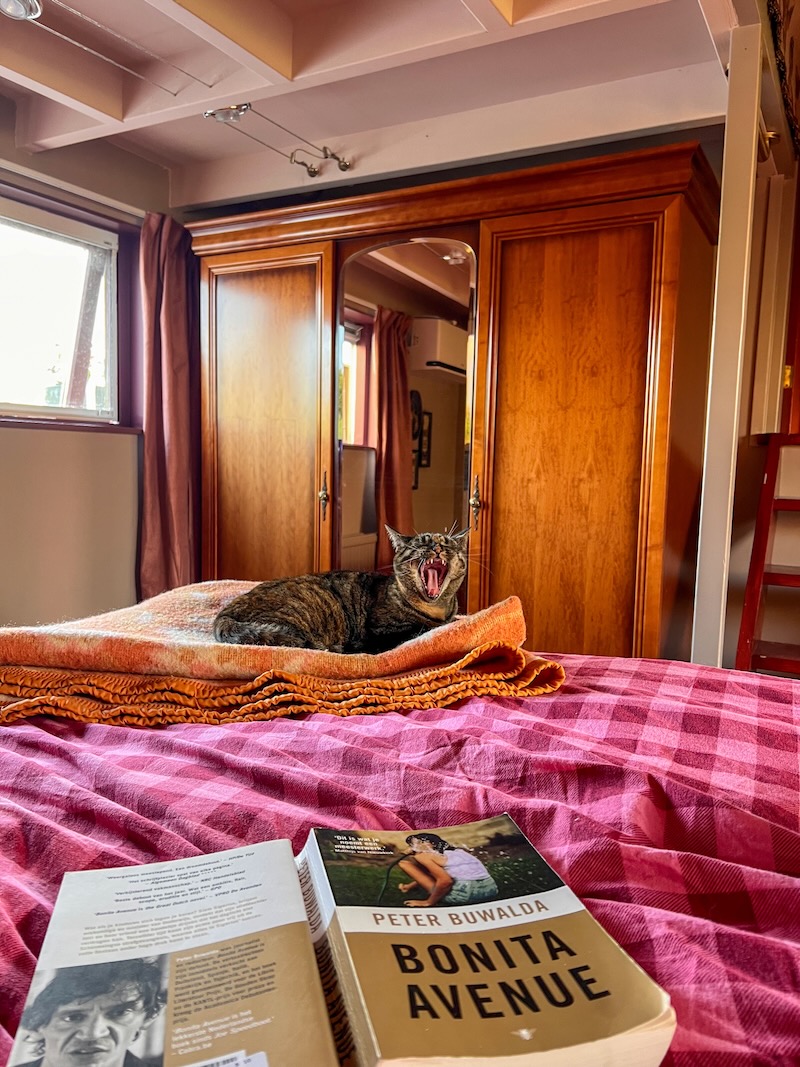 coco-mat bed ervaring