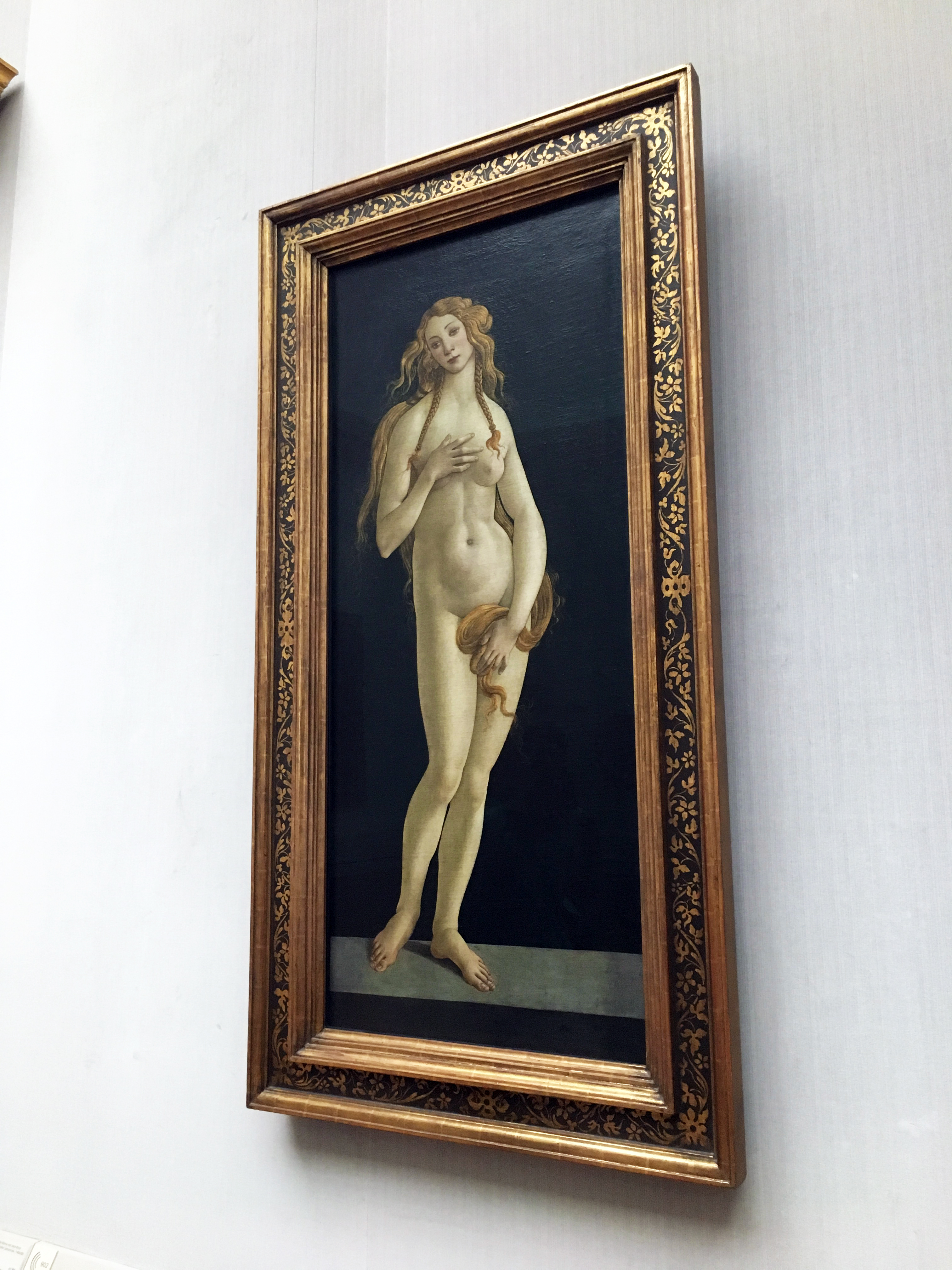 Venus by Botticelli