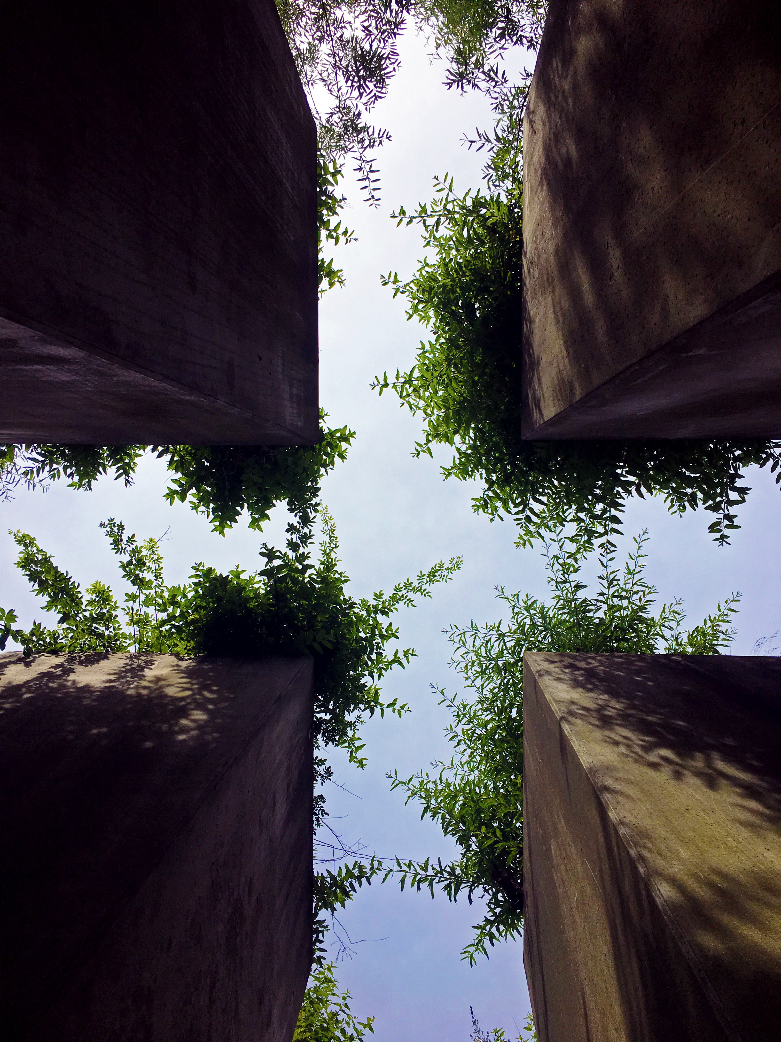 Garden of Exile