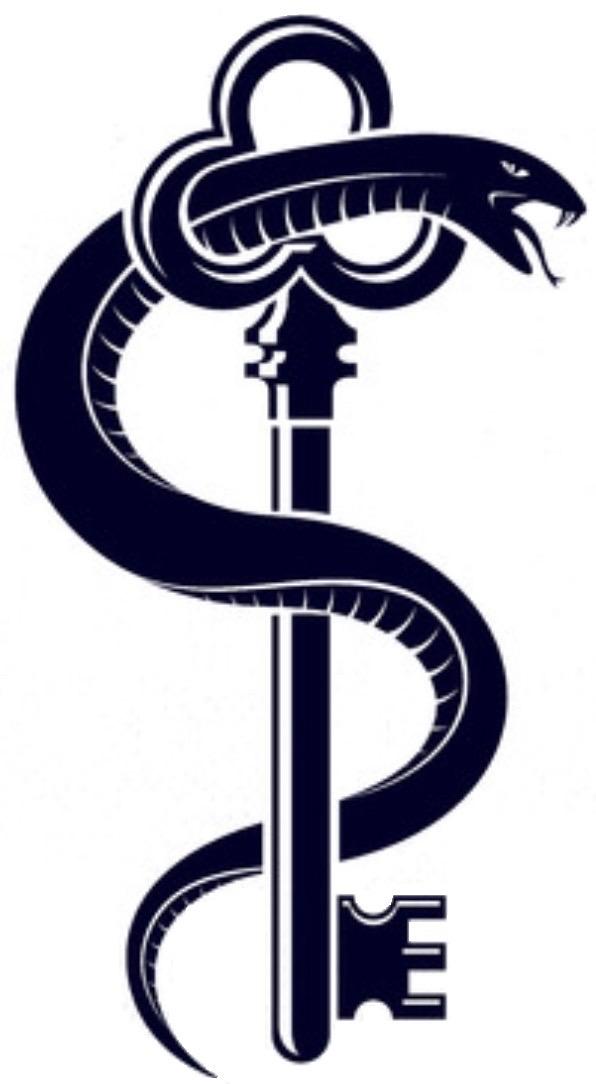 Snake 003 U Snake 003 Reddit - 4K Gradient Illustrations for Desktop