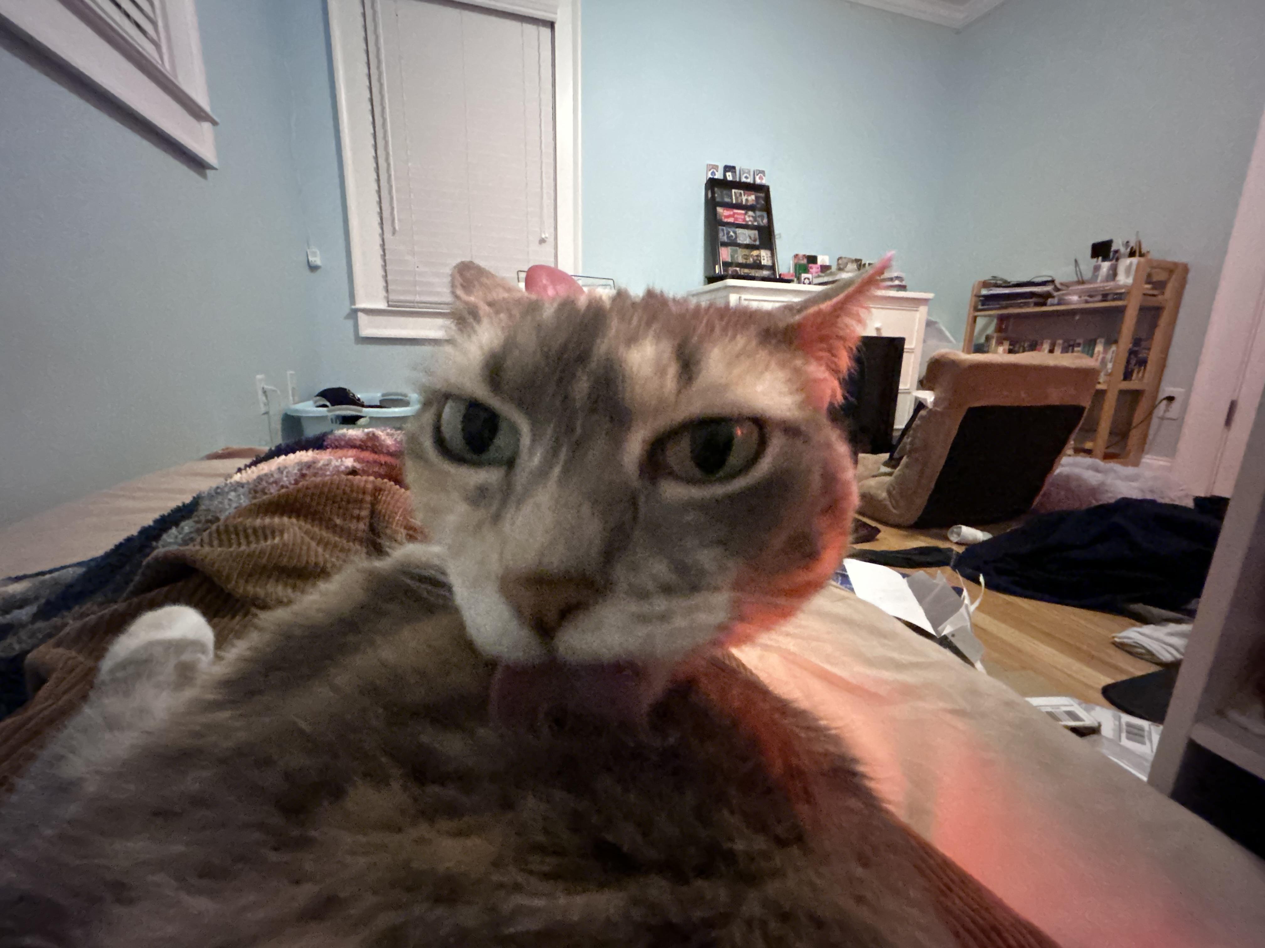 Jack U Direct Problem 9954 Reddit - Incredible 4K Vintage Photos | Free Download