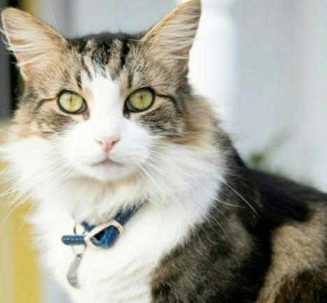 Creativity Destroyer U Creativity Destroyer Reddit - Creative Sunset Art - HD