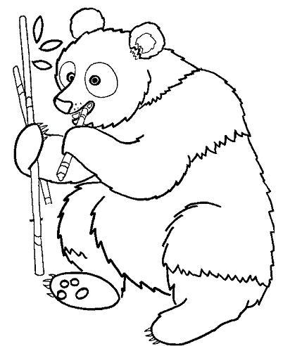 pix Animals Drawing Without Colour styles at life