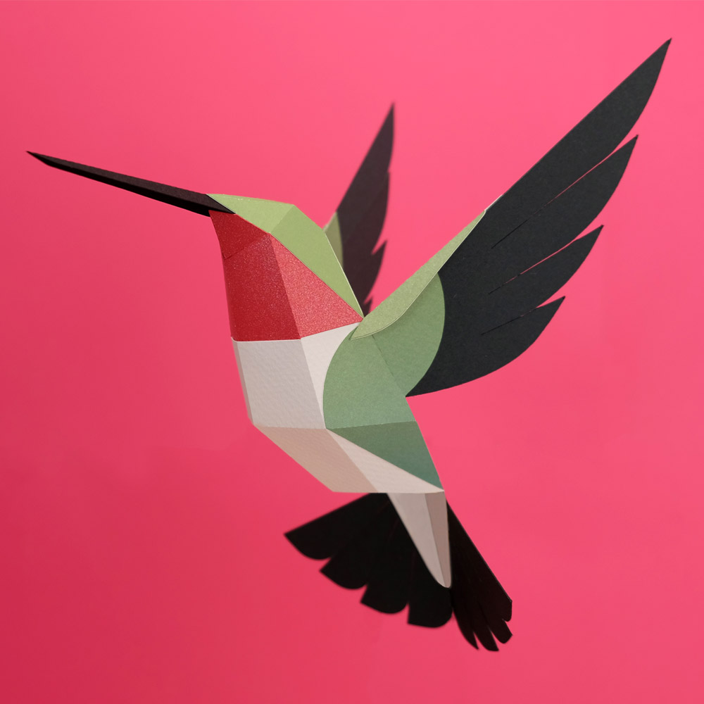 Paper Model Hummingbird4