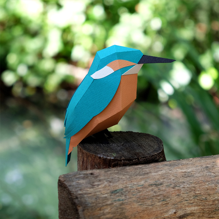 Paper Model Kingfisher14
