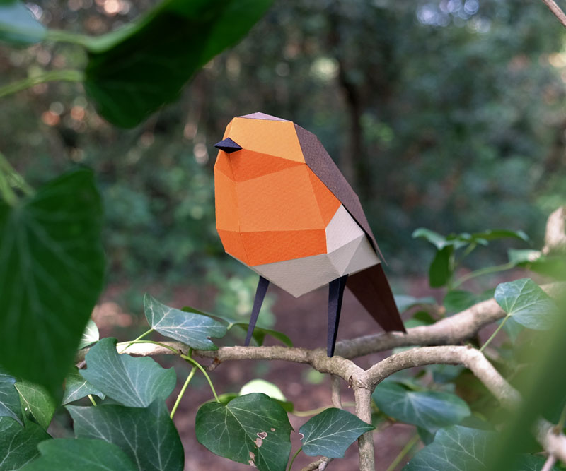 Paper Model Robin4