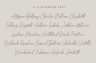 Gallery image item #3