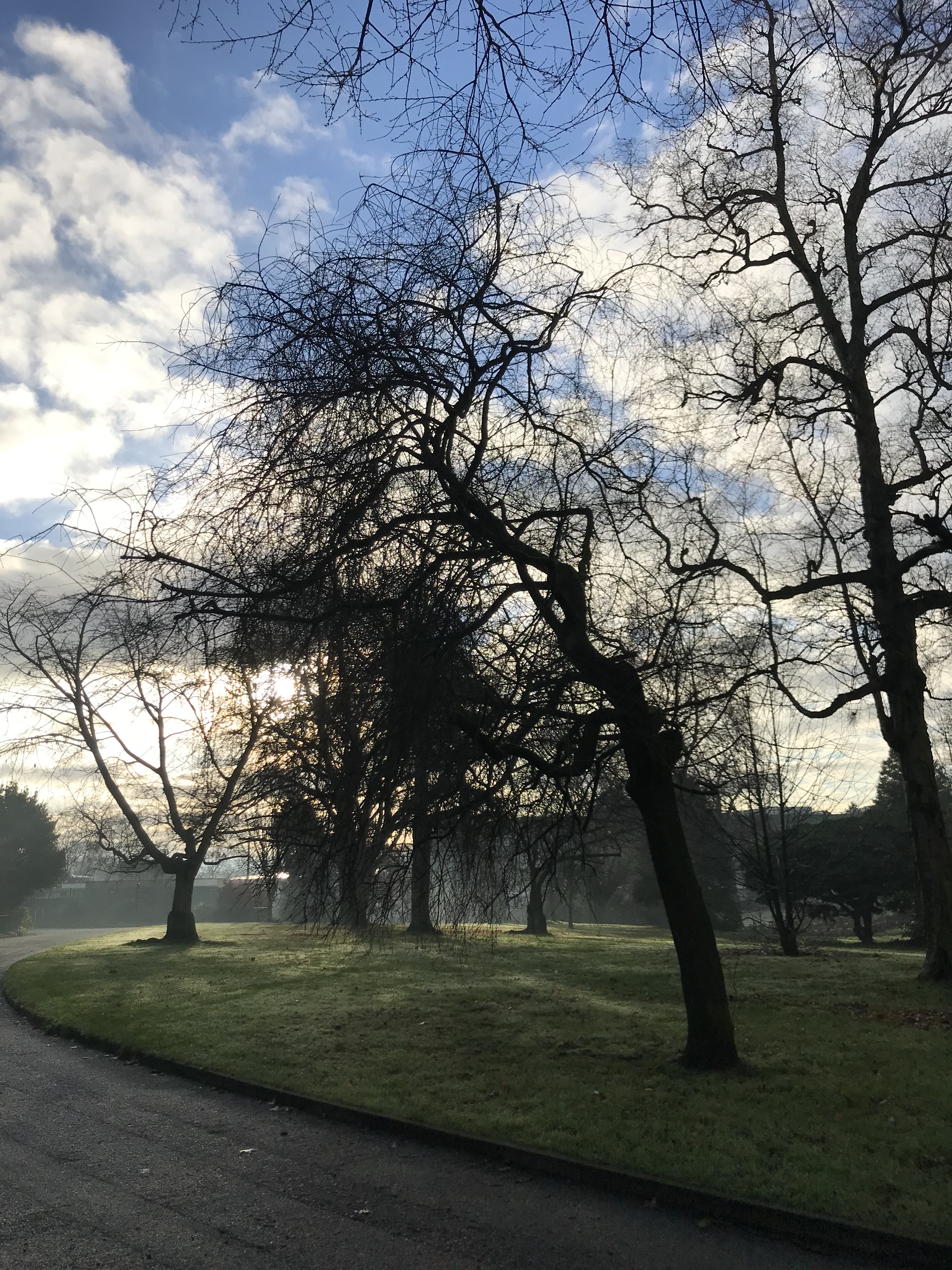 18CEA16E-917E-462A-9EA0-9CE5DB4E7A24