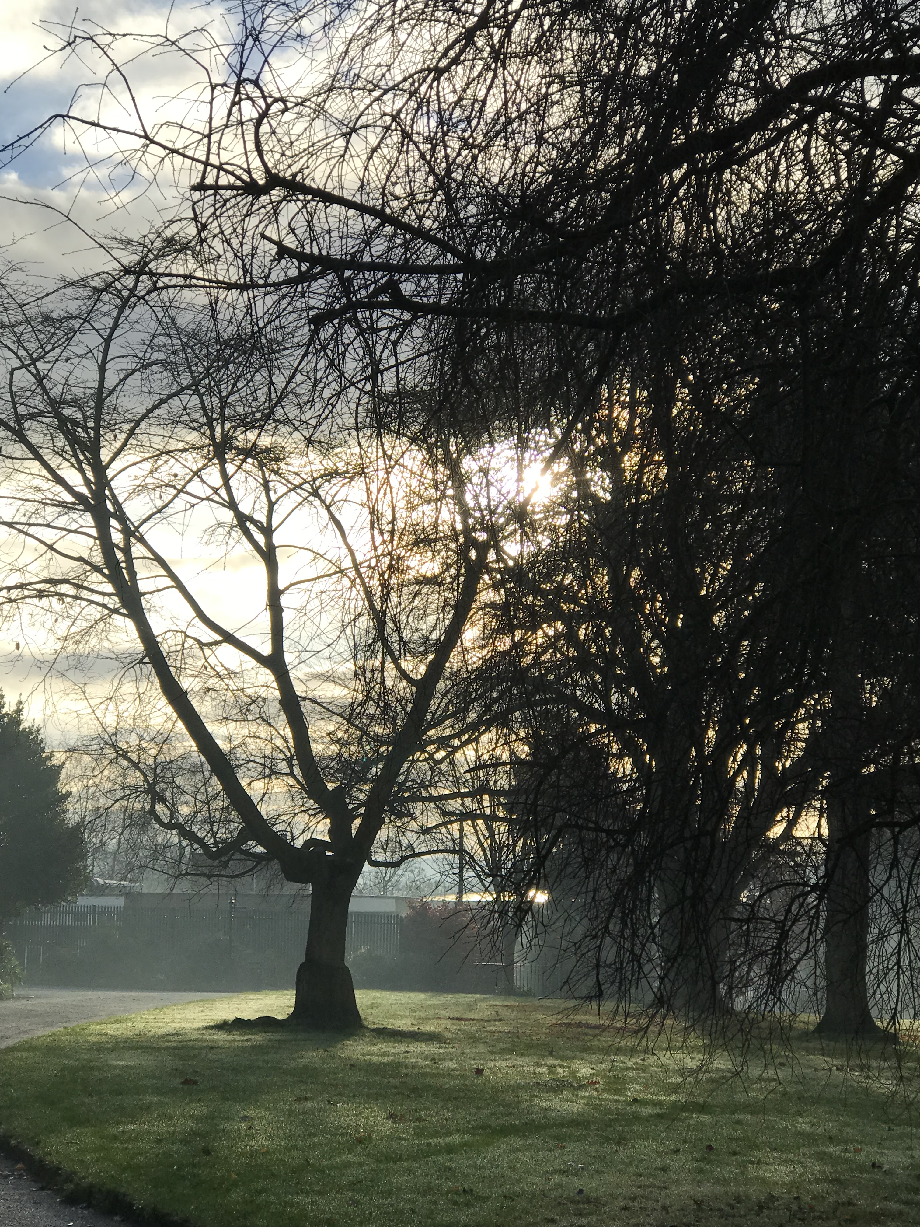 B74477F0-BDBB-4FFA-96D8-160A8FA2275A