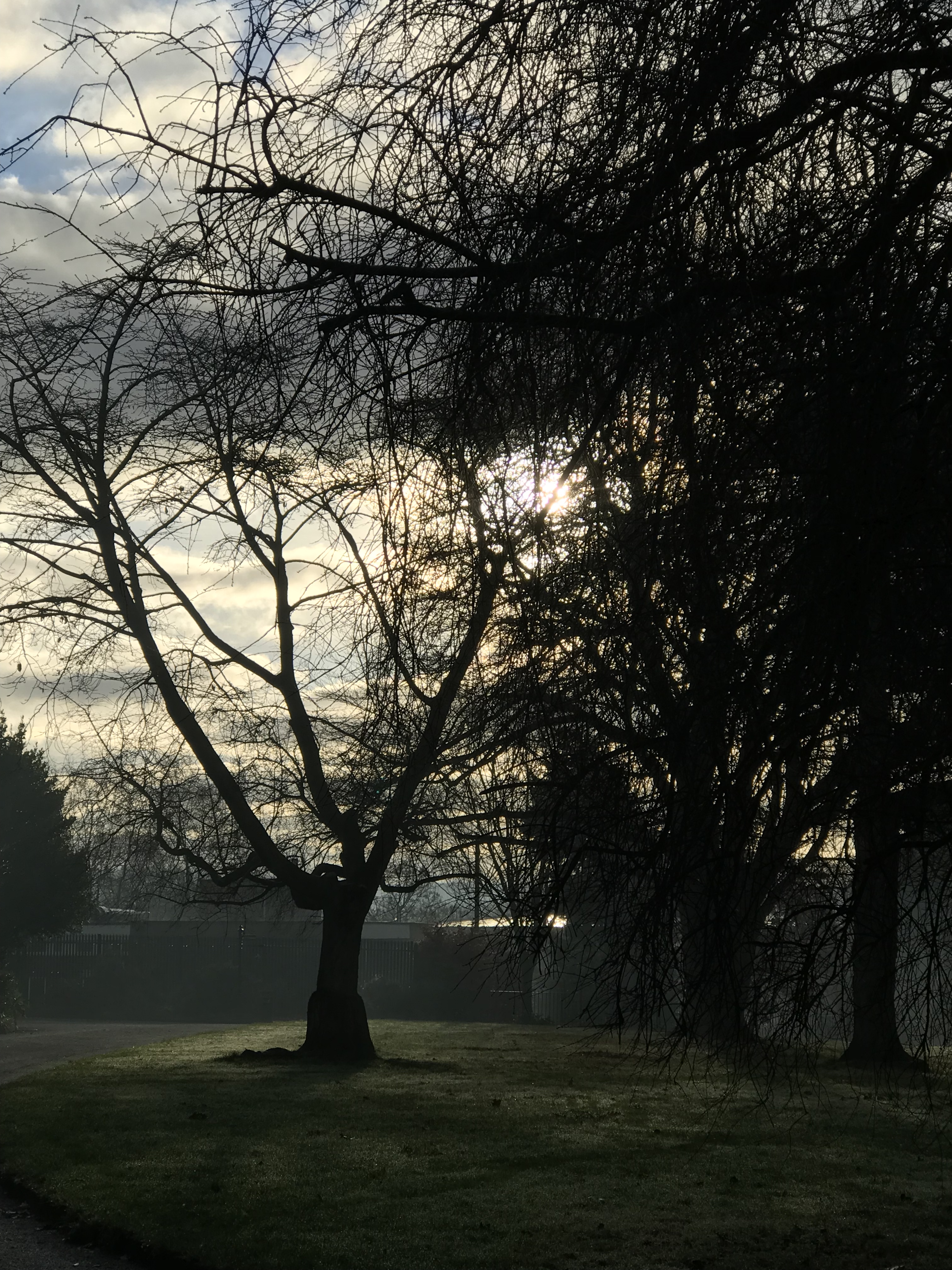 BD47FD42-E25D-4F6D-AAA5-439204AEC933