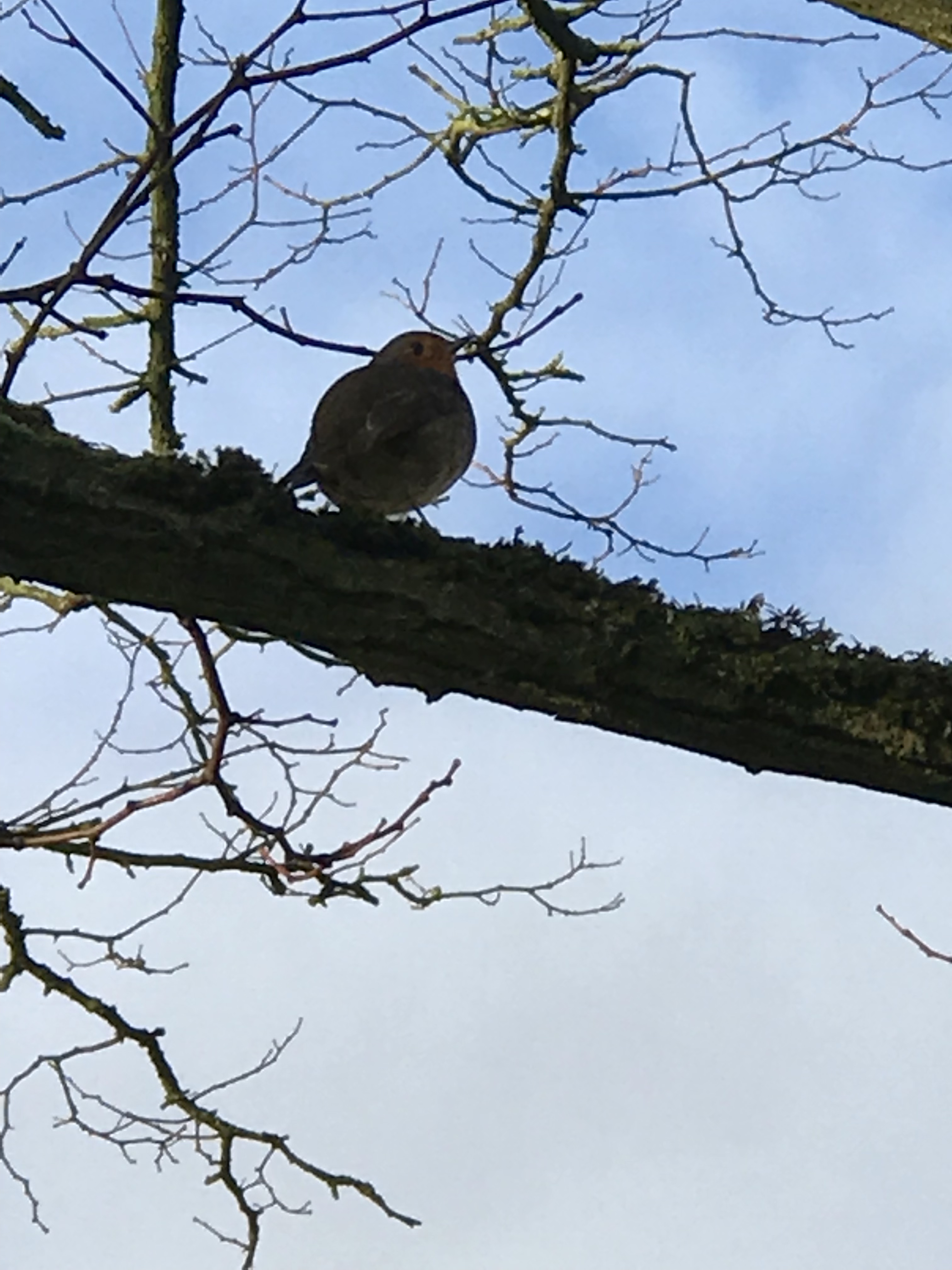 FBD7D4B5-34B4-4C2A-883B-E8EE6E5536A7