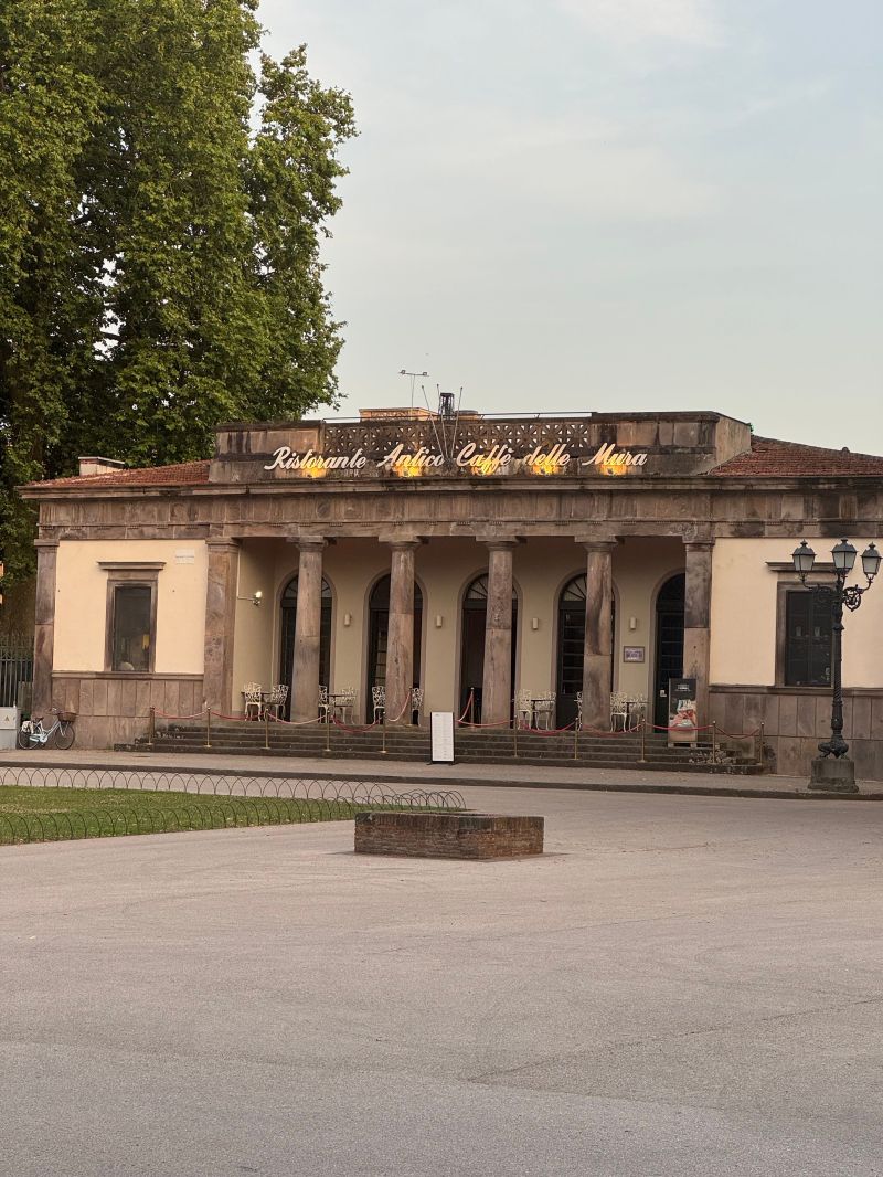 Stata Tutorial Diff In Diff Diff In Diff With Repeated Cross Sections Vacc Data Source Of - Professional High Resolution Gradient Designs | Free Download