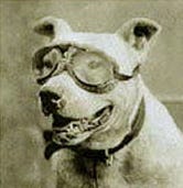 Lawrence Goldstone Substack - Desktop Mountain Textures for Desktop