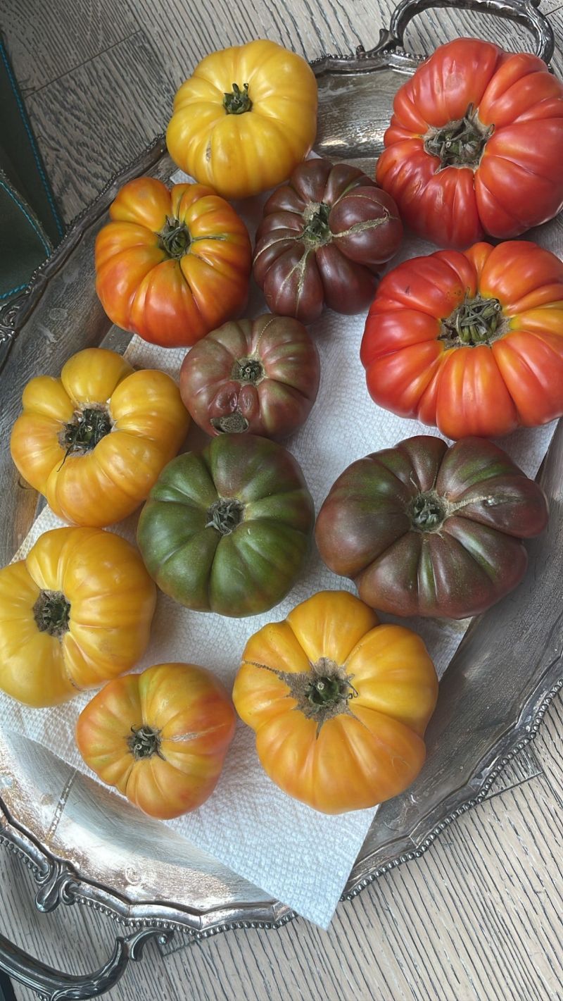 Coco Larkin Cooks Youtube - Perfect City Photo - Mobile