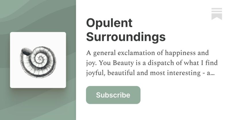 Courtney S Substack Subscriber Chat - Best Landscape Backgrounds in Full HD