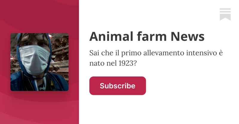 Francesco Danieli Substack - Download Professional Colorful Texture | Retina