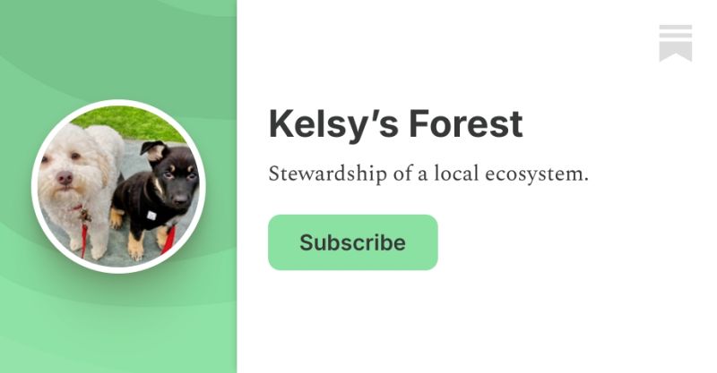 James Branson Substack - Incredible Ultra HD Mountain Backgrounds | Free Download