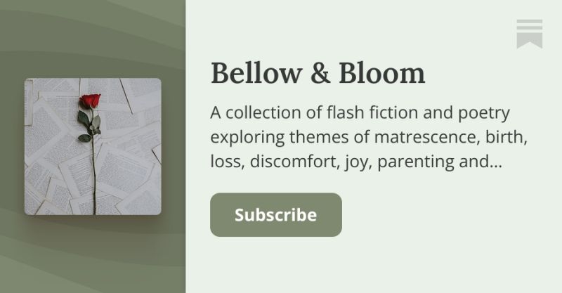 She Blooming Rose Aisha A Substack - Best Dark Wallpapers in Ultra HD