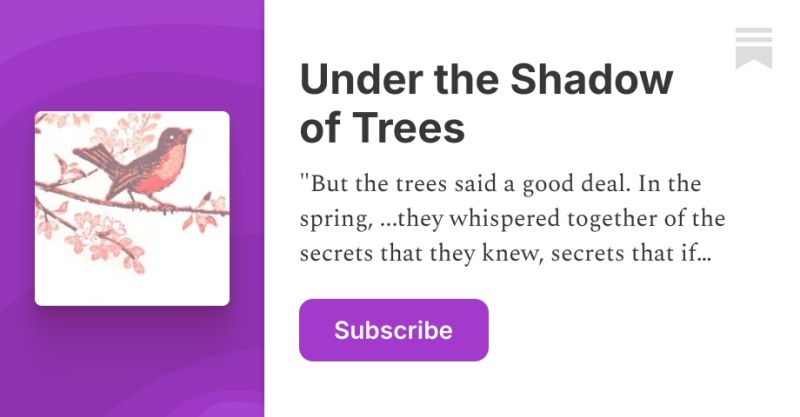 Douglas Van Nest Substack - Download Artistic Dark Illustration | Ultra HD