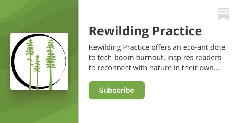 Wilding Marci Cornett Substack - Premium Light Image Gallery - Full HD