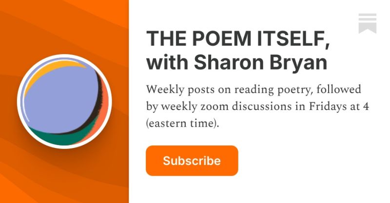 Sharon S Substack Sharon Race Substack - Desktop Colorful Photos for Desktop