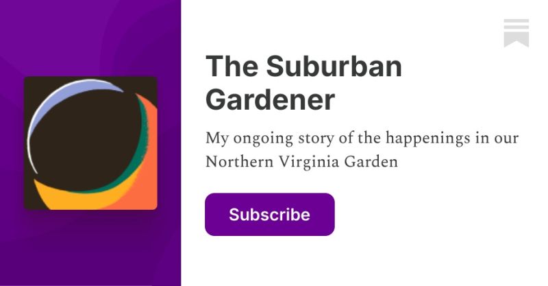 Suburban Gentry Substack - Download Amazing Ocean Art | Full HD