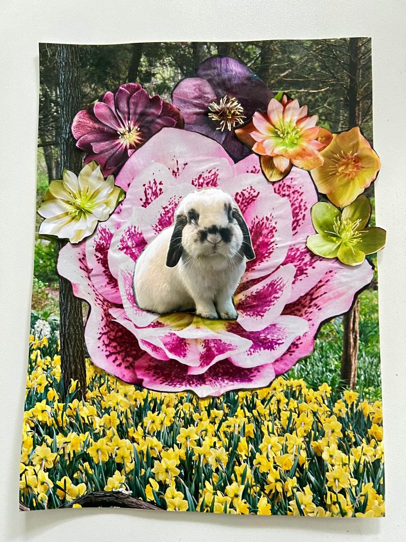 Celestial Forecast By Emily Hall Flower Moon - Best Dark Wallpapers in Desktop