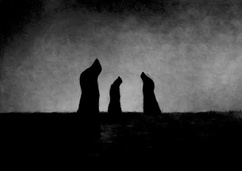 Leaving Substack And Moving To Paragraph - Premium Gradient Picture Gallery - HD