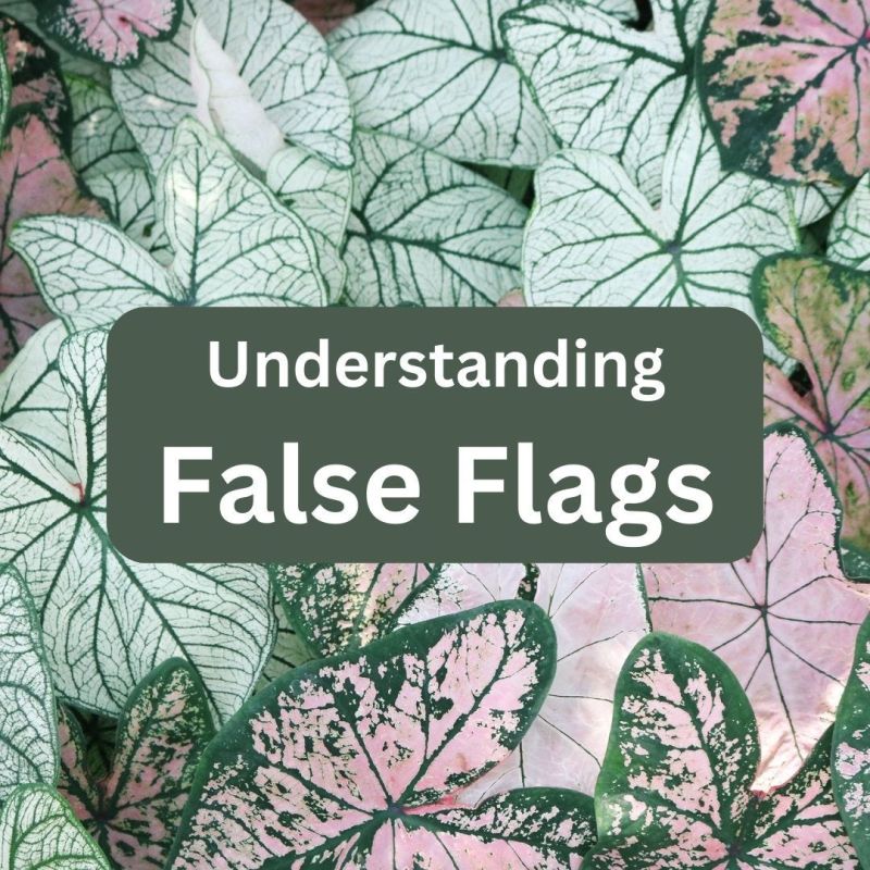 What Are False Flags - Download Elegant Mountain Image | HD