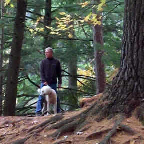 Tim Chapman Substack - Premium Light Texture Gallery - Full HD