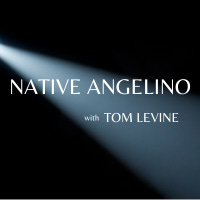 Tom Levine Substack - Professional High Resolution Sunset Pictures | Free Download