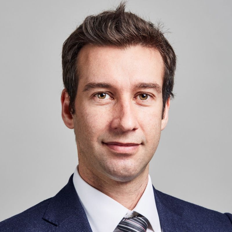 Leonardo Substack - Best Nature Designs in High Resolution