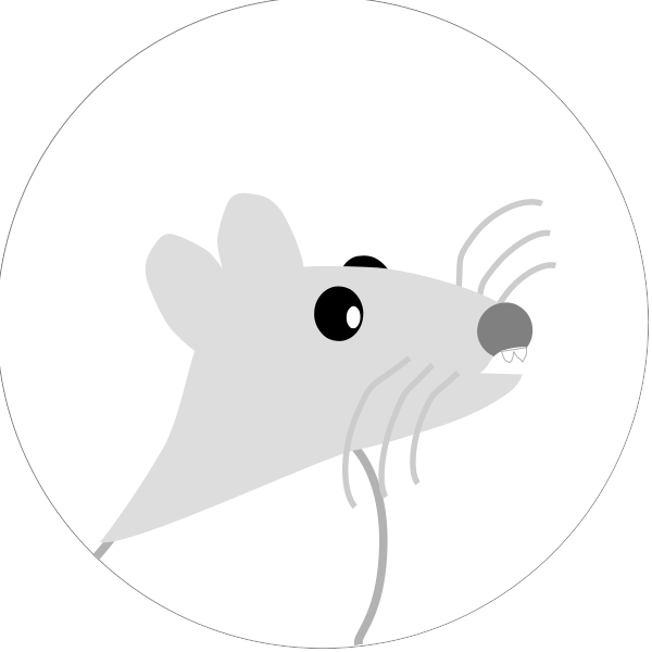 Ratstack R Rats - Gorgeous Mountain Photo - HD