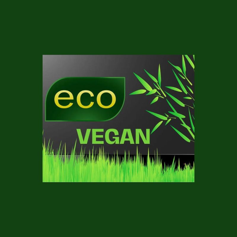 A Diagram Showing The Different Types Of Eco Conscious Living Things - Ocean Backgrounds - Artistic 8K Collection