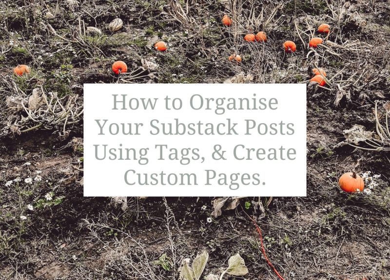 Where Do You Draft Your Posts R Substack - Modern Minimal Wallpaper - Mobile