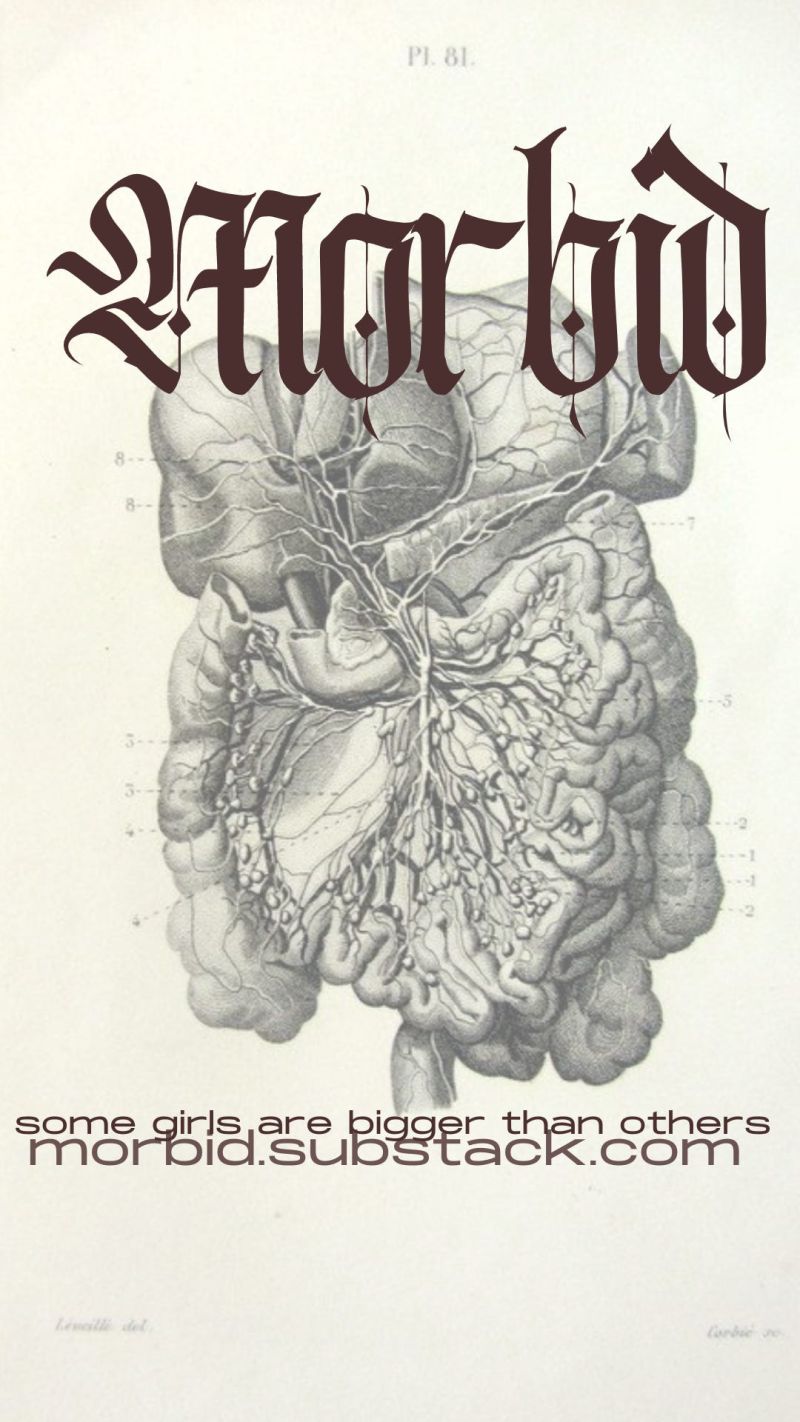 Morbs Attacks The Morbs - Elegant Retina Gradient Wallpapers | Free Download