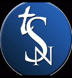 The Soar Network Suellen Estes Substack - Geometric Illustrations - Amazing Mobile Collection