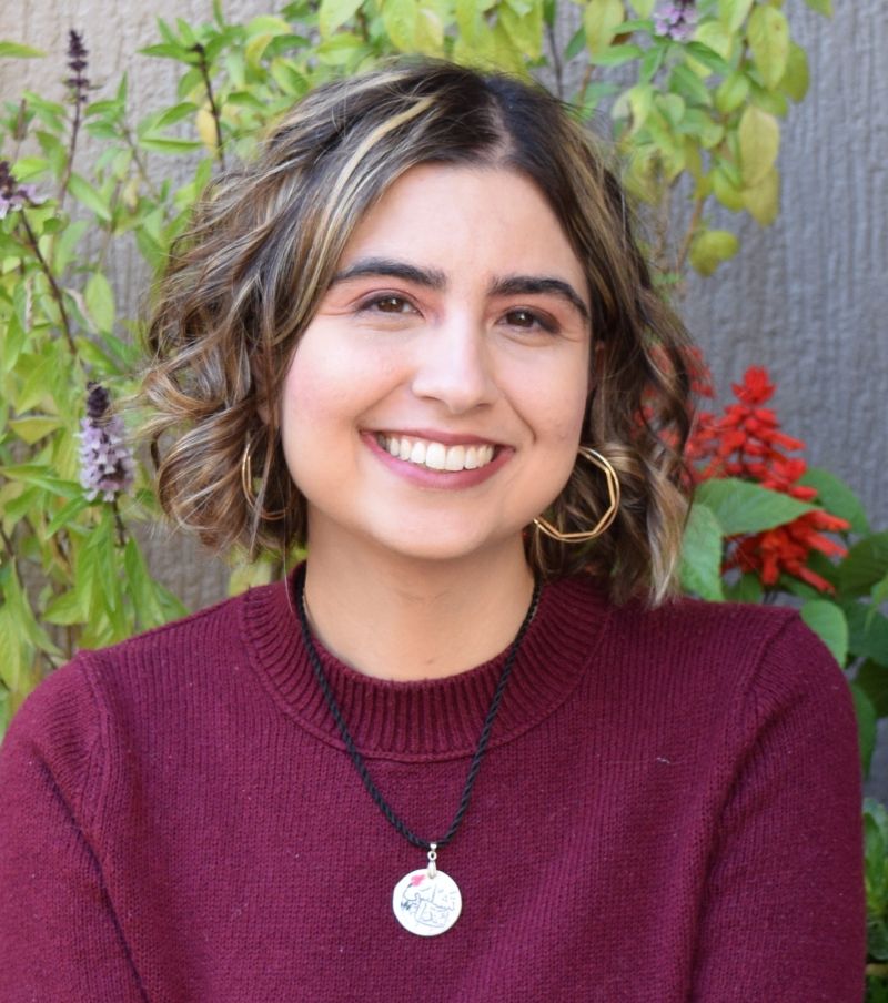 Prose Panic Chelsea Abdullah Substack - Download Beautiful Geometric Pattern | High Resolution