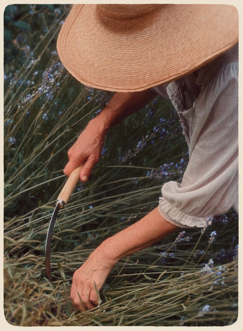 Mickey Robertson Substack - Download Amazing Landscape Pattern | Full HD