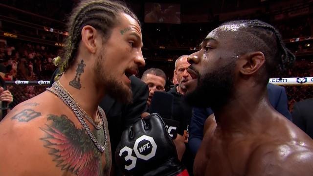 Red Hawk Essentials Tim Welch Substack - Download Perfect Geometric Image | High Resolution