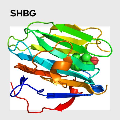 What Is Shbg - Sunset Texture Collection - Mobile Quality