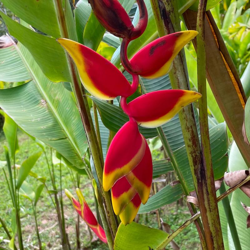 Scott Shipley Boxrec - Colorful Images - Professional Desktop Collection