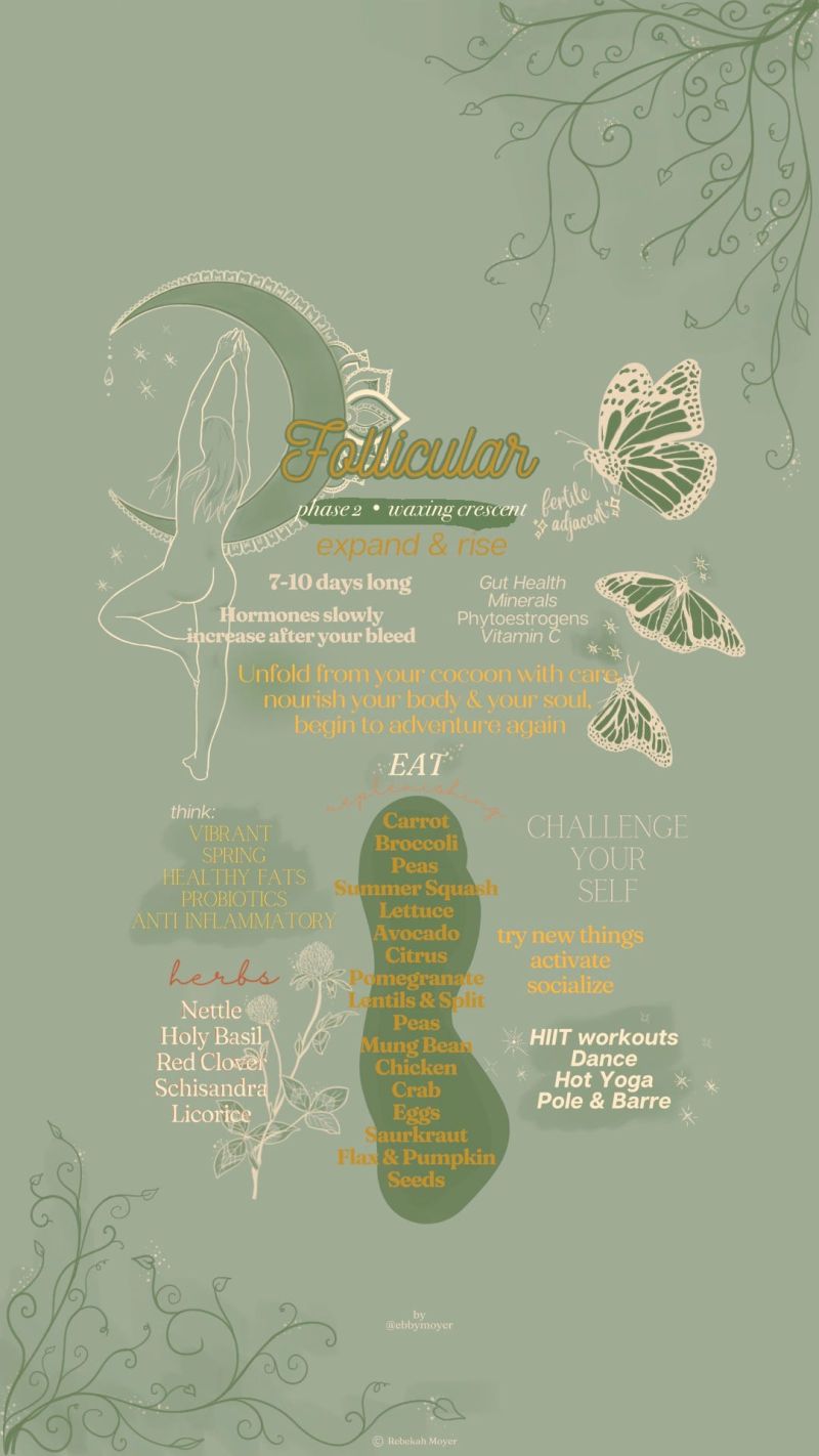 Cycle Syncing Cheat Sheets By Ebby Moyer - High Quality Light Art - 4K