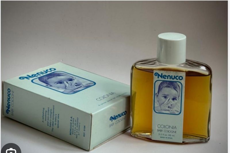 Seashells With Michelle - Ocean Pattern Collection - Ultra HD Quality