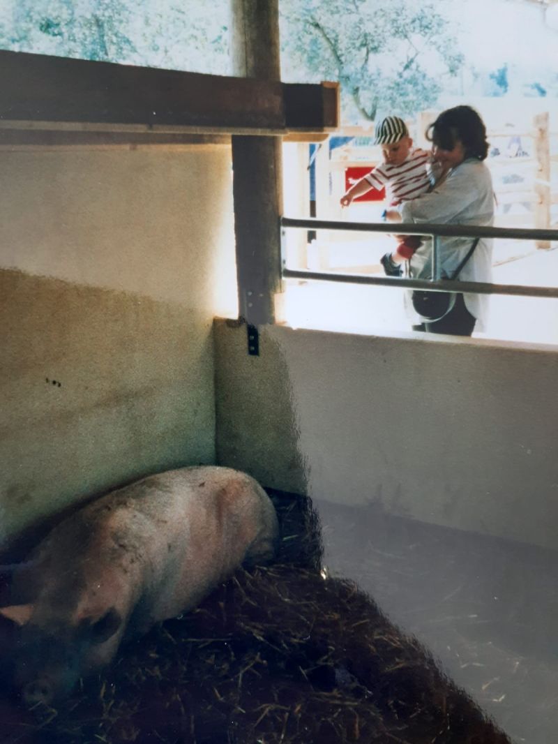 From The Farm Hugo Harrison Substack - Incredible Mobile Nature Arts | Free Download