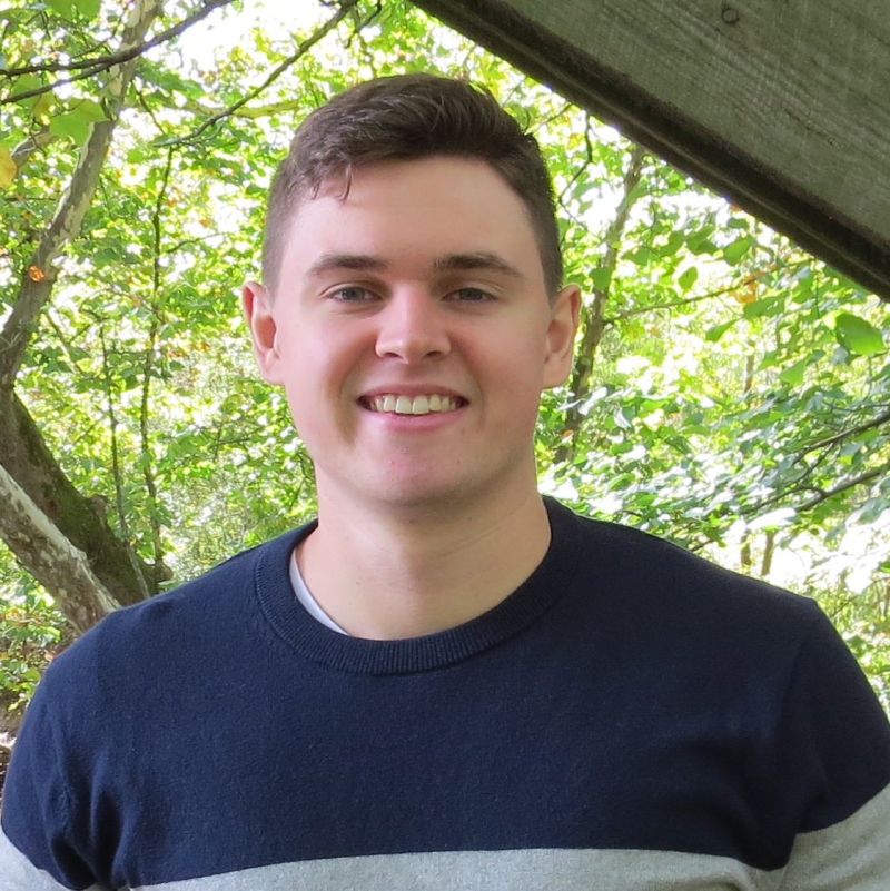 J Zach Pearson Medium - Mobile Nature Patterns for Desktop